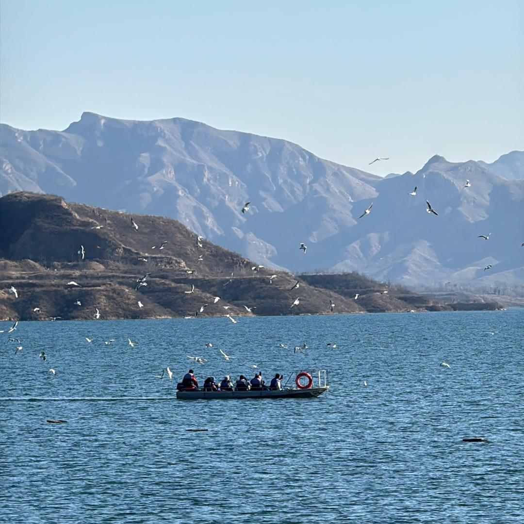 博棉内衣(北安小区店)安安直播号