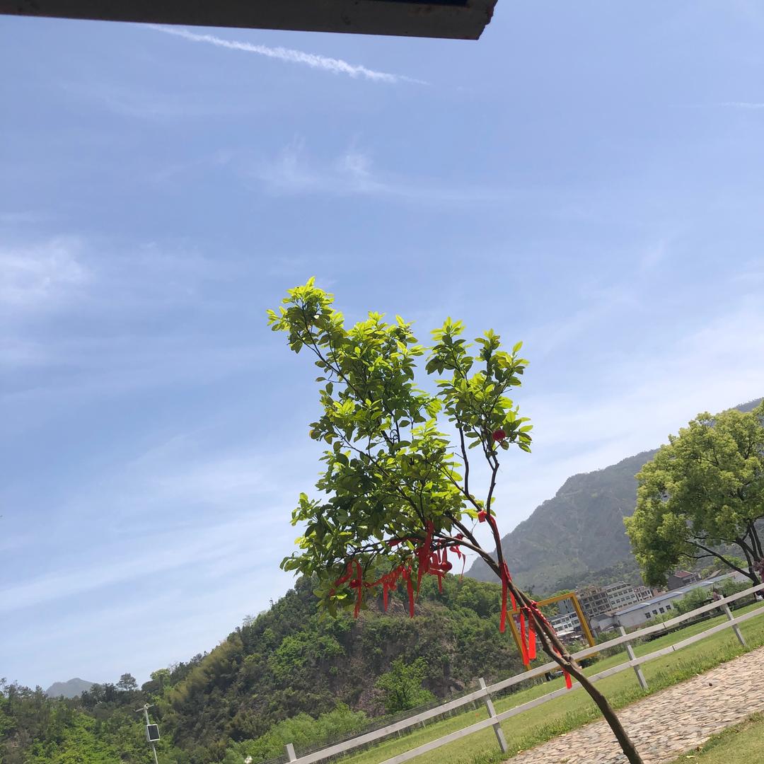 我是谁呢