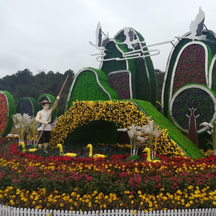 万紫千红，8
