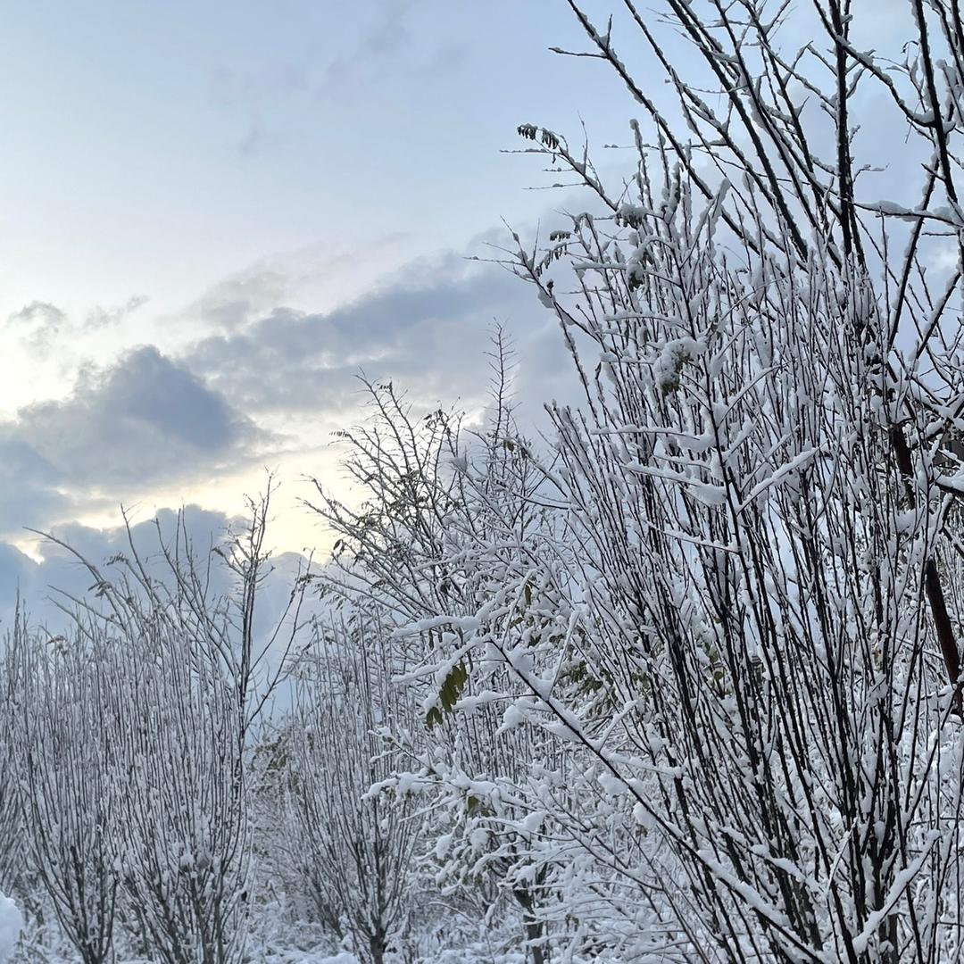 霞姐美容美发用品商行