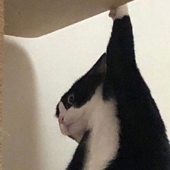 魔丸（三角洲行动）