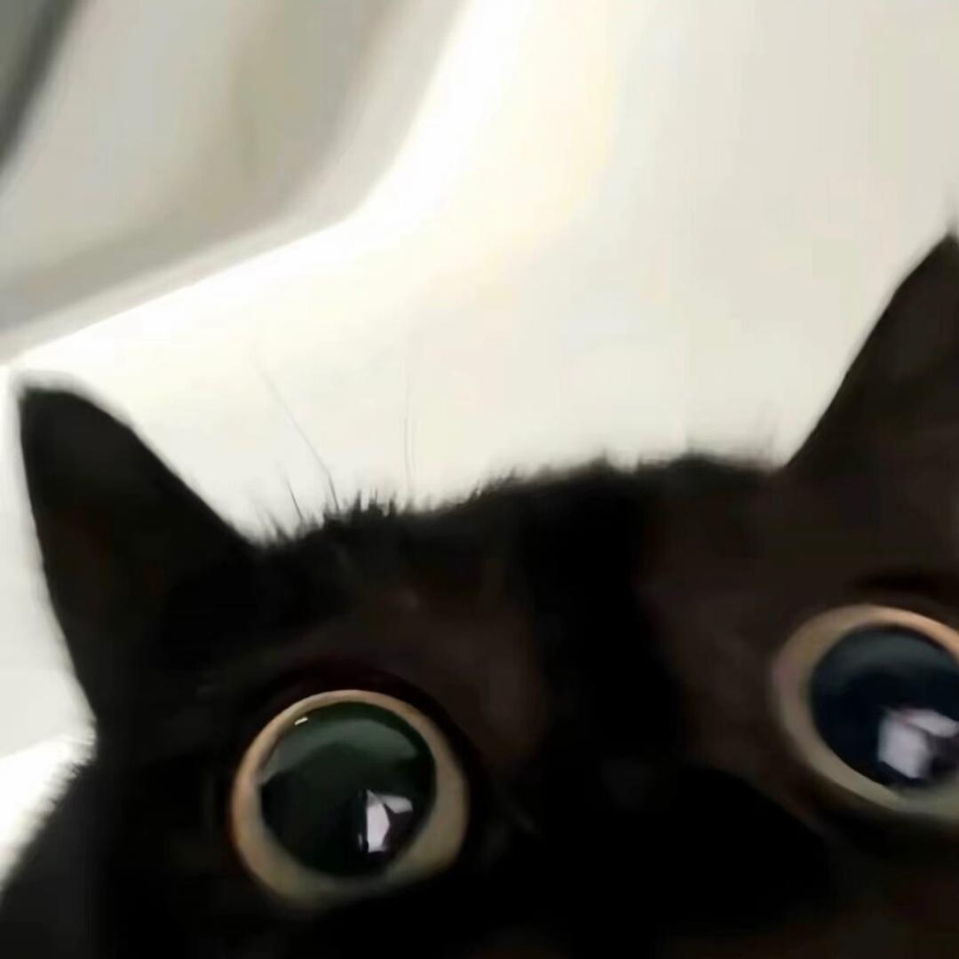 壹