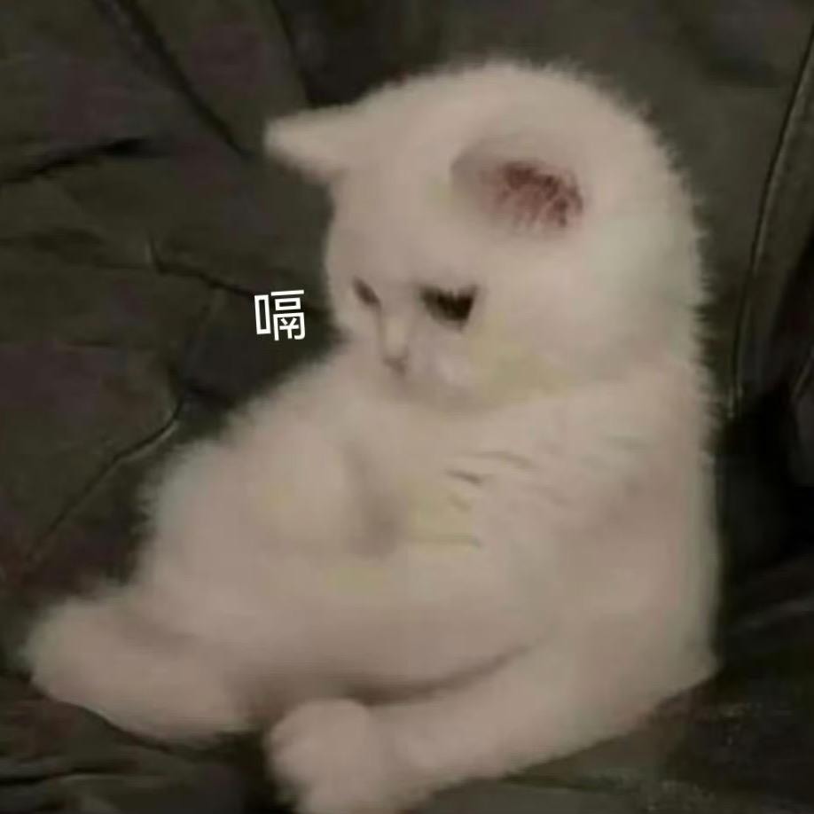 云朵过期不候头像