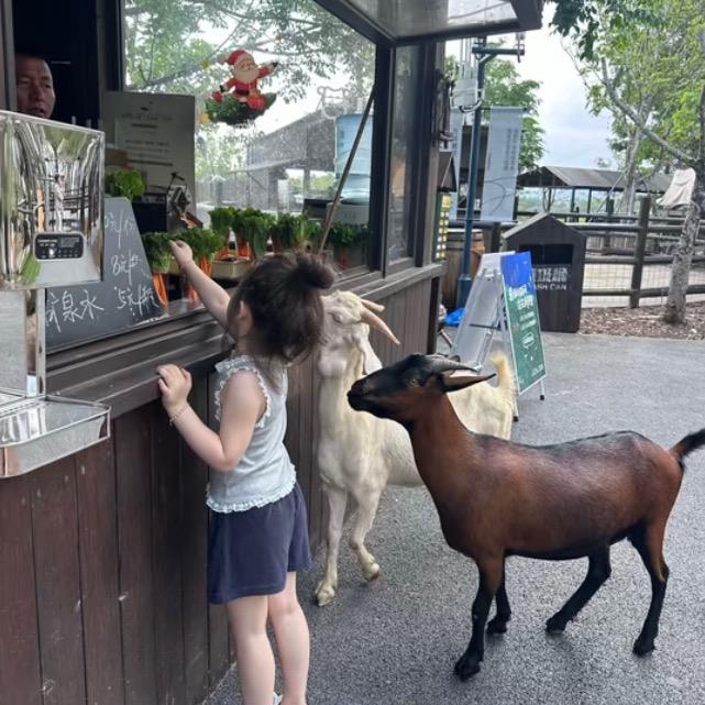 ˁ˙˟˙ˀʕ∙ჲ∙ʔ