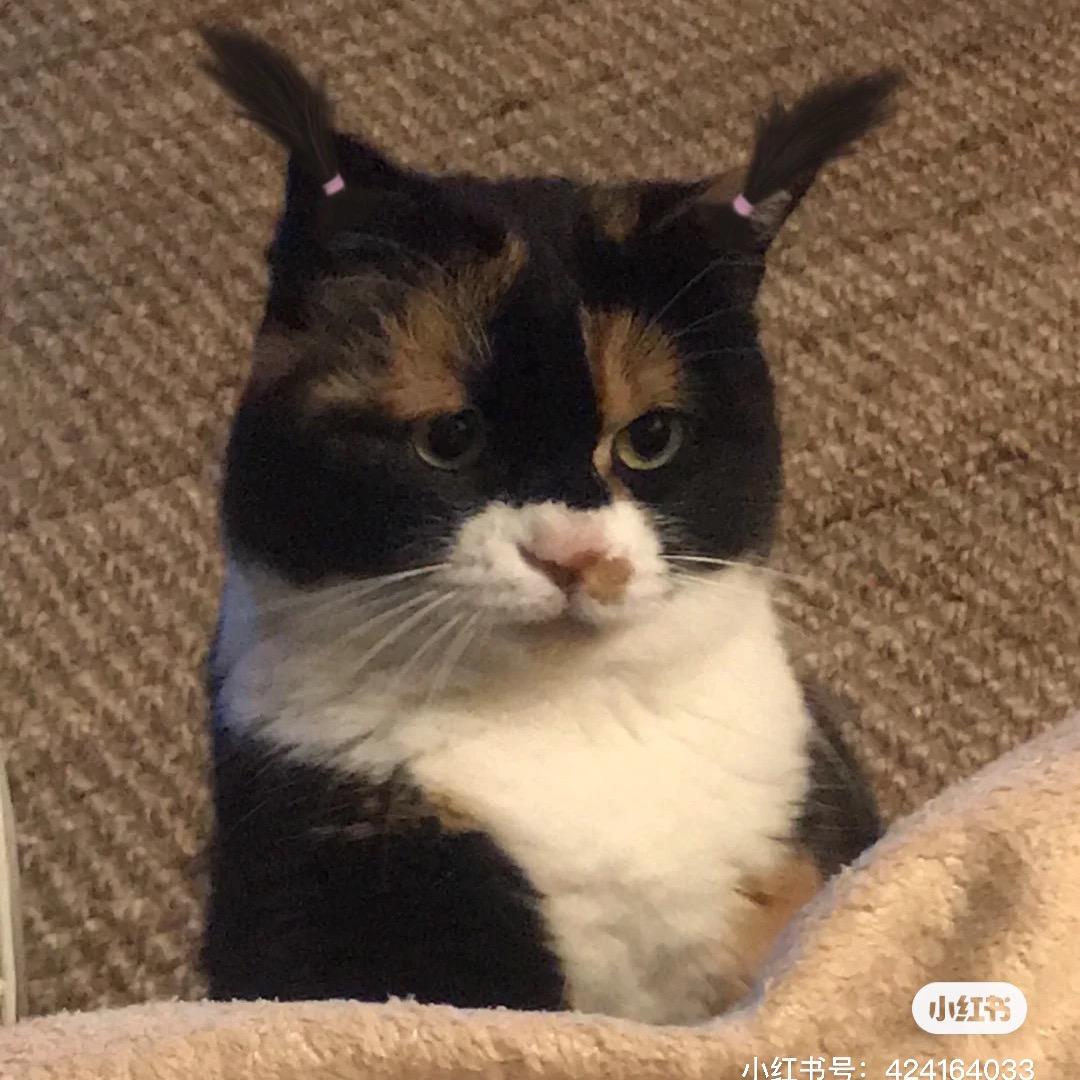 早睡早起身体棒🎊