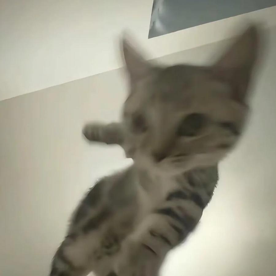 韩童轩