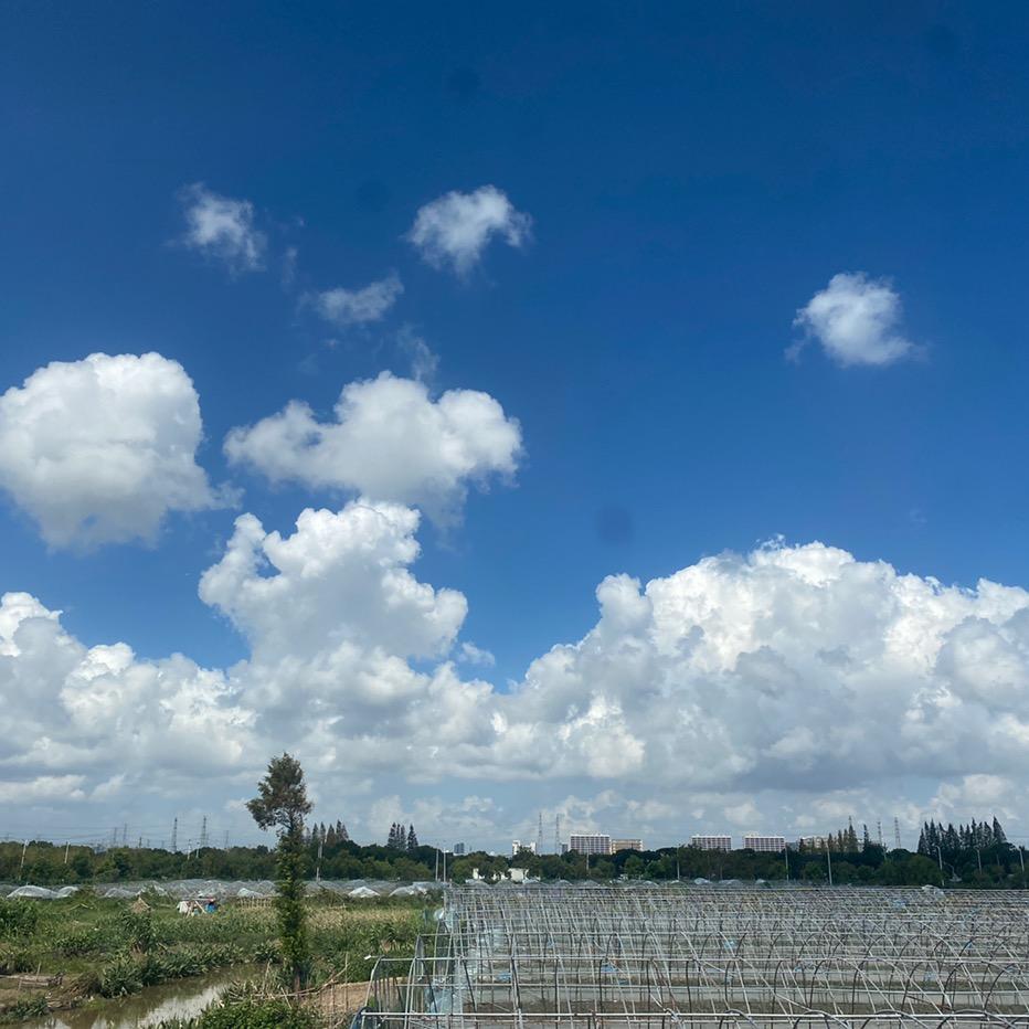 农家乐悠悠（首播）