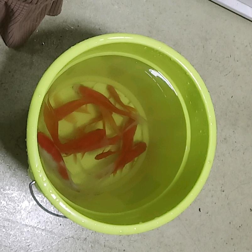 用户7492836392244