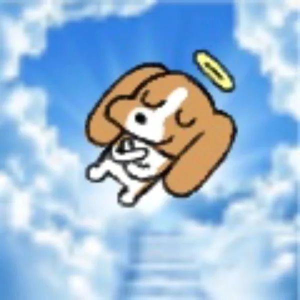 我是🐹🐹 🦑🦑是我最好的朋友