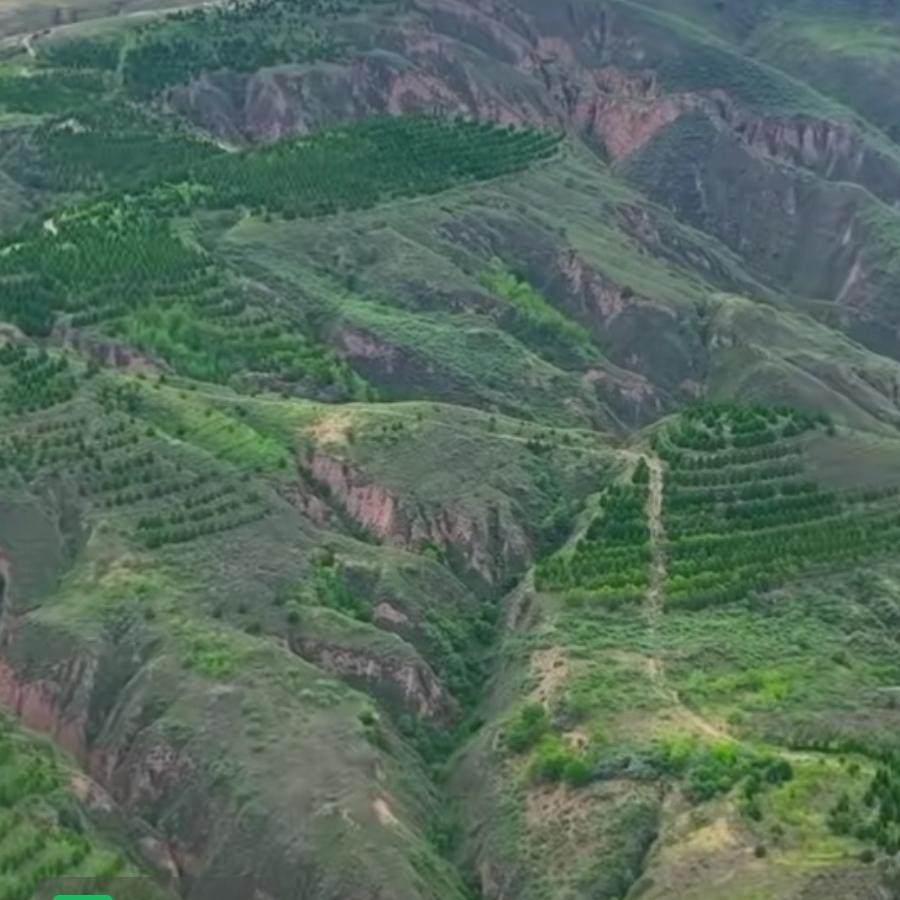 哎。。。就是玩