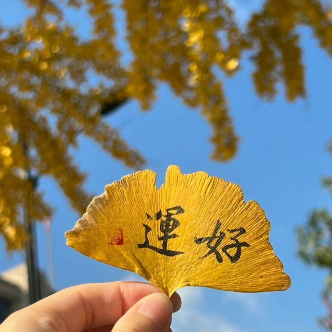 糖块儿