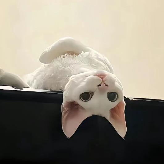 八宝粥