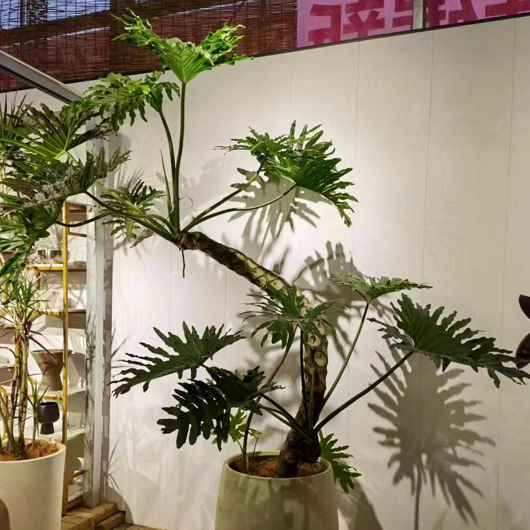 植宇花卉
