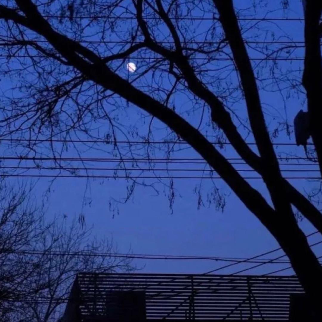 一盎司