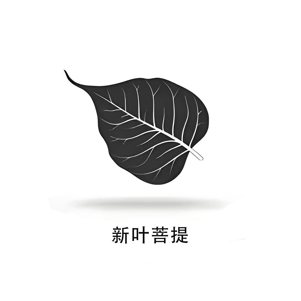 新叶菩提·柏香籽