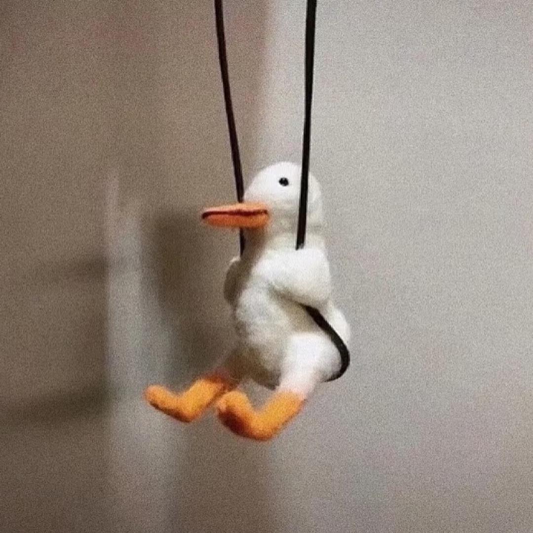 鸭子有个尖尖嘴