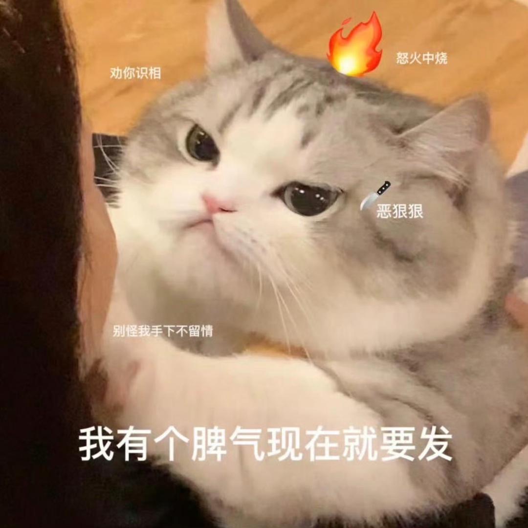 奇了个怪了