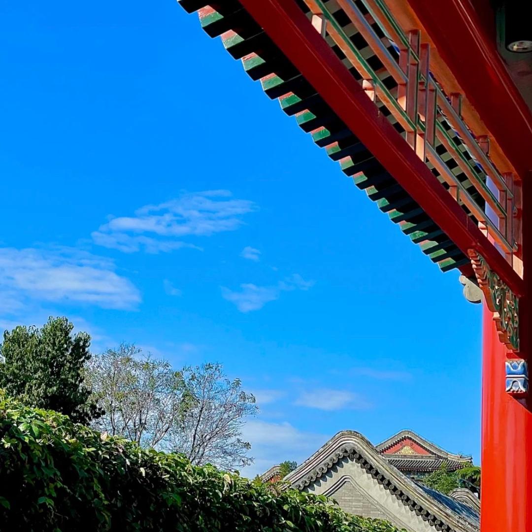 京城🇨🇳