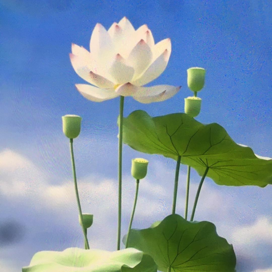 小诺一