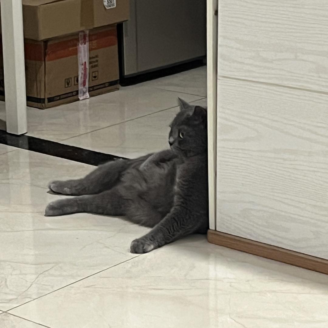 bubu