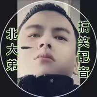 北大弟（搞笑配音解说）