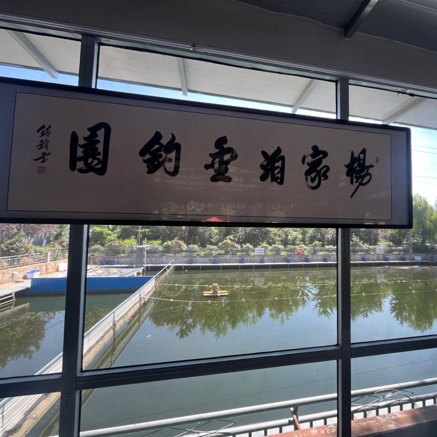 杨家泊垂钓园🎣