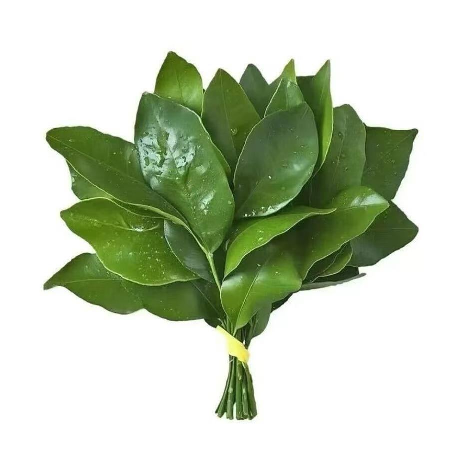 这个名字有十五个字不信你数一下