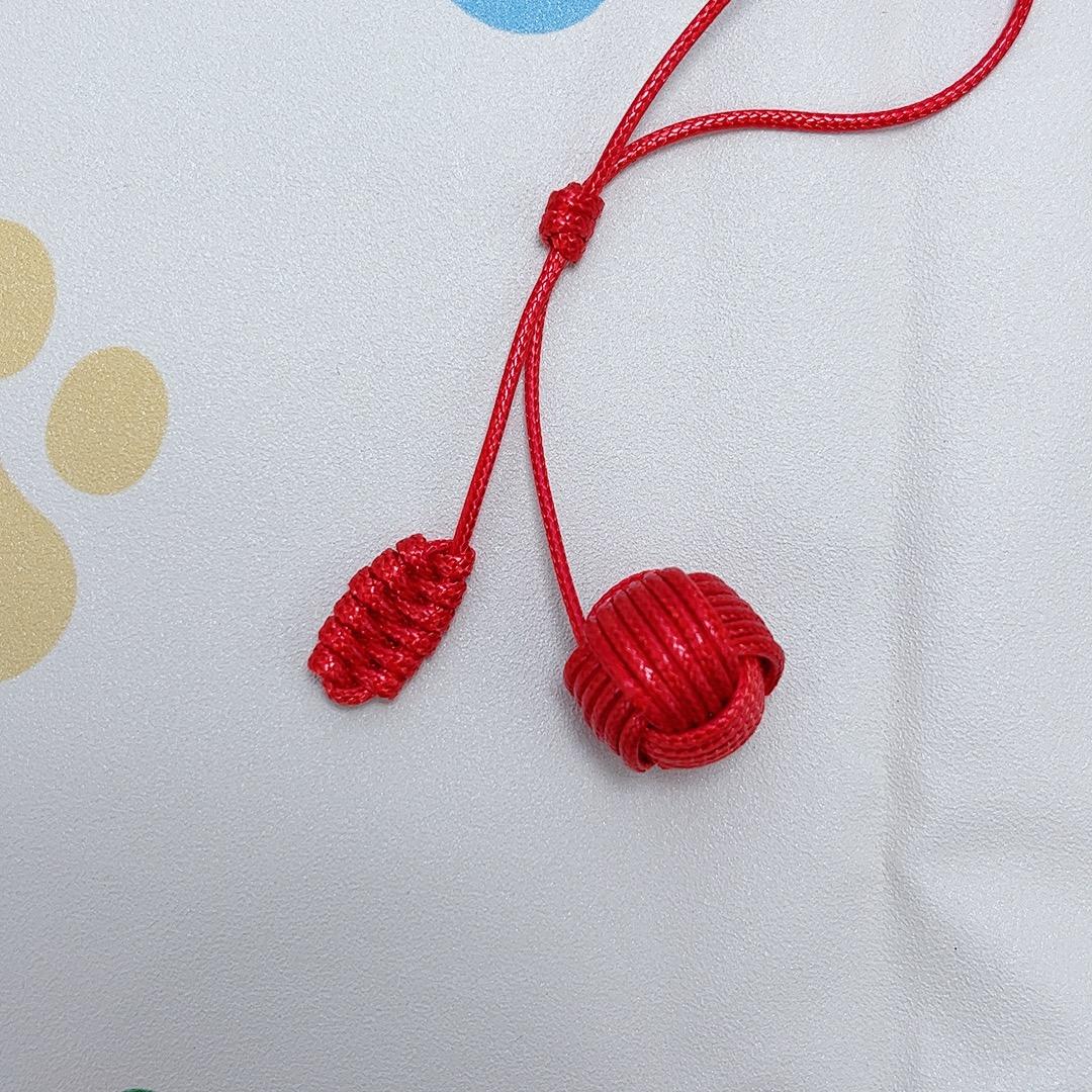 陈晨晨