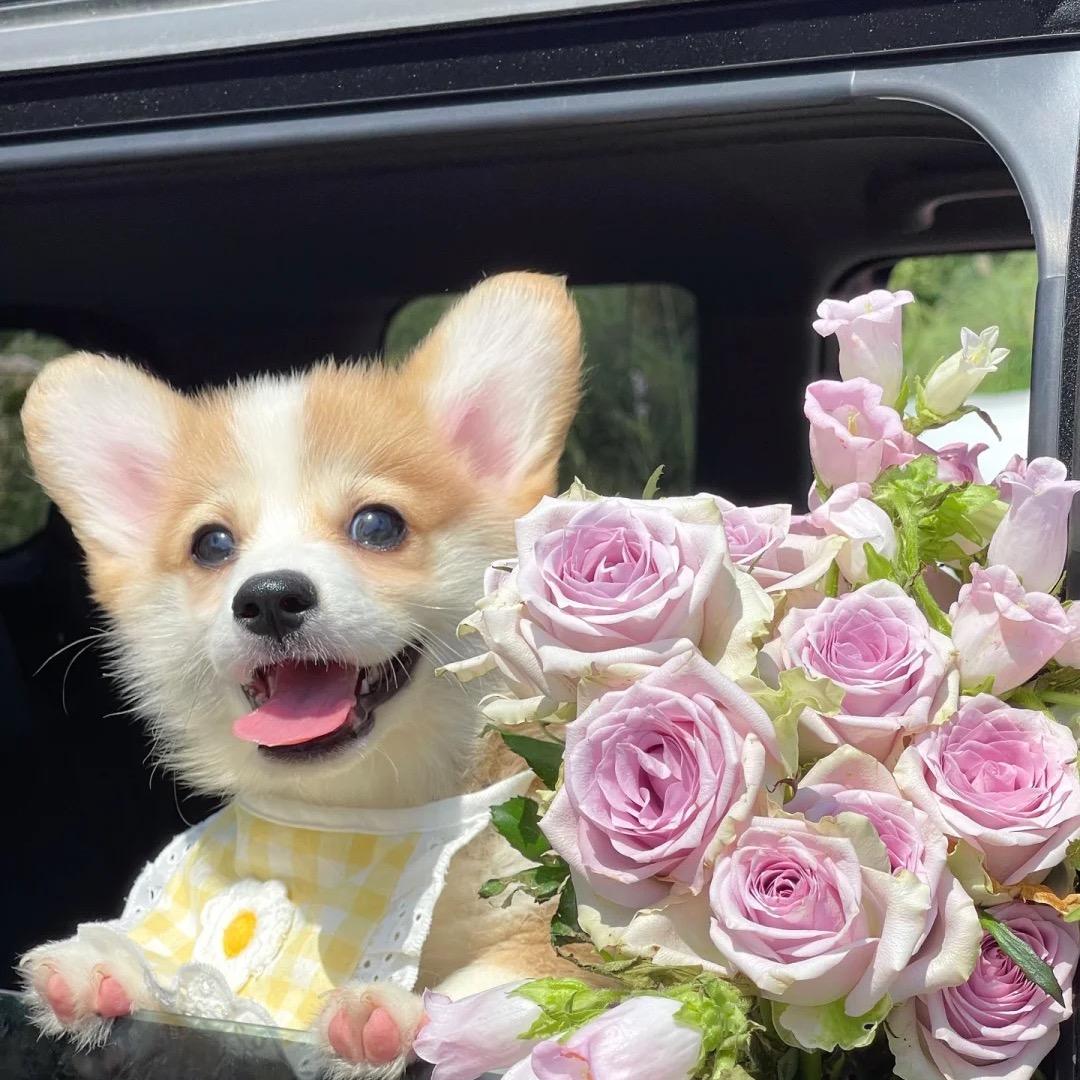 你猜我叫什么名