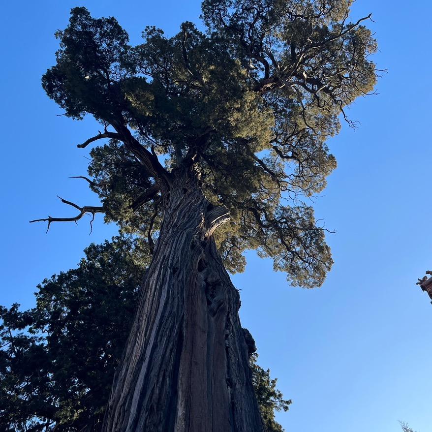 兴牧草业（小号）