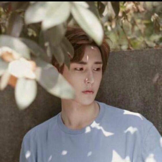 迷雾大陆小萌新