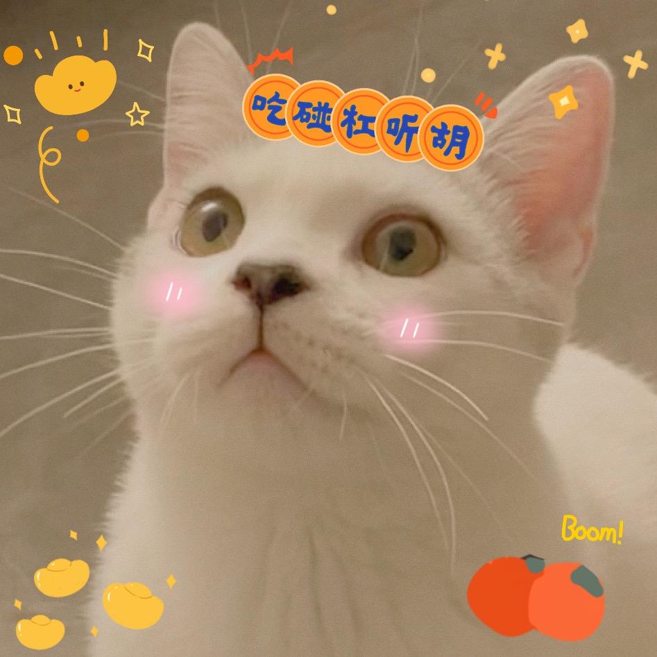 嘟妹一拳打爆破喉咙