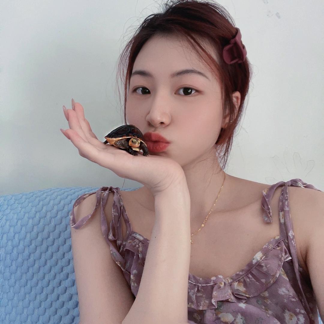 皖缘欣龟