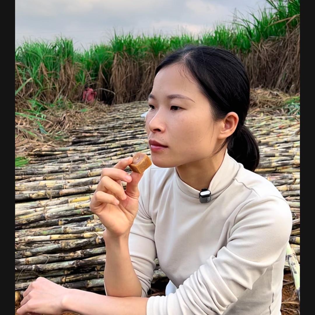 杨艳农业