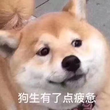 叫我小帅哥