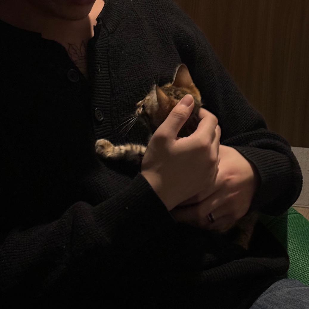 狮