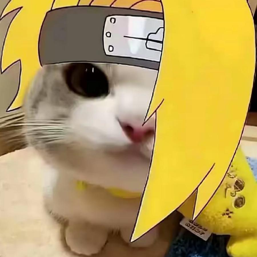 迪达拉