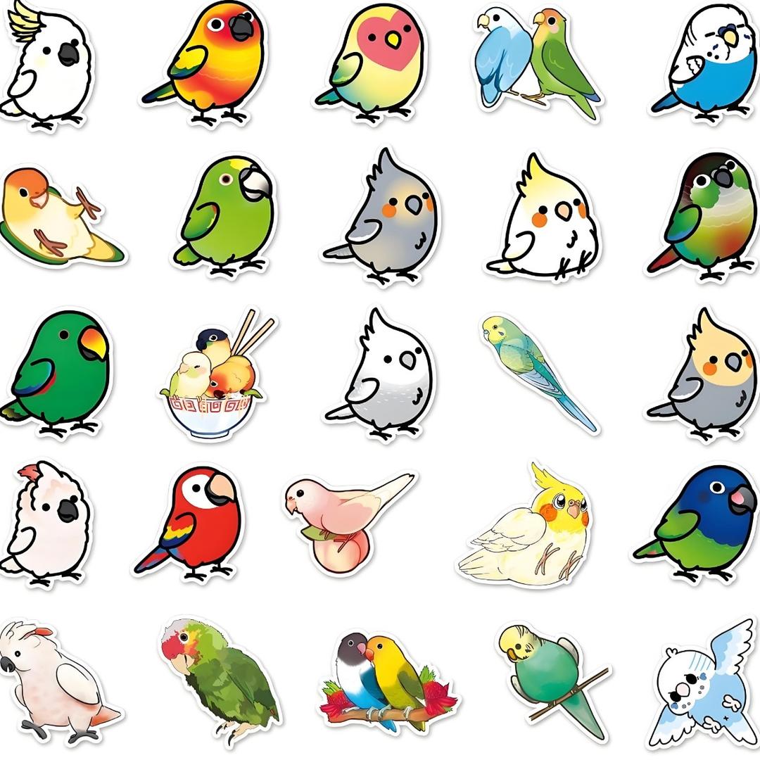 鹦鹉饲养繁育基地