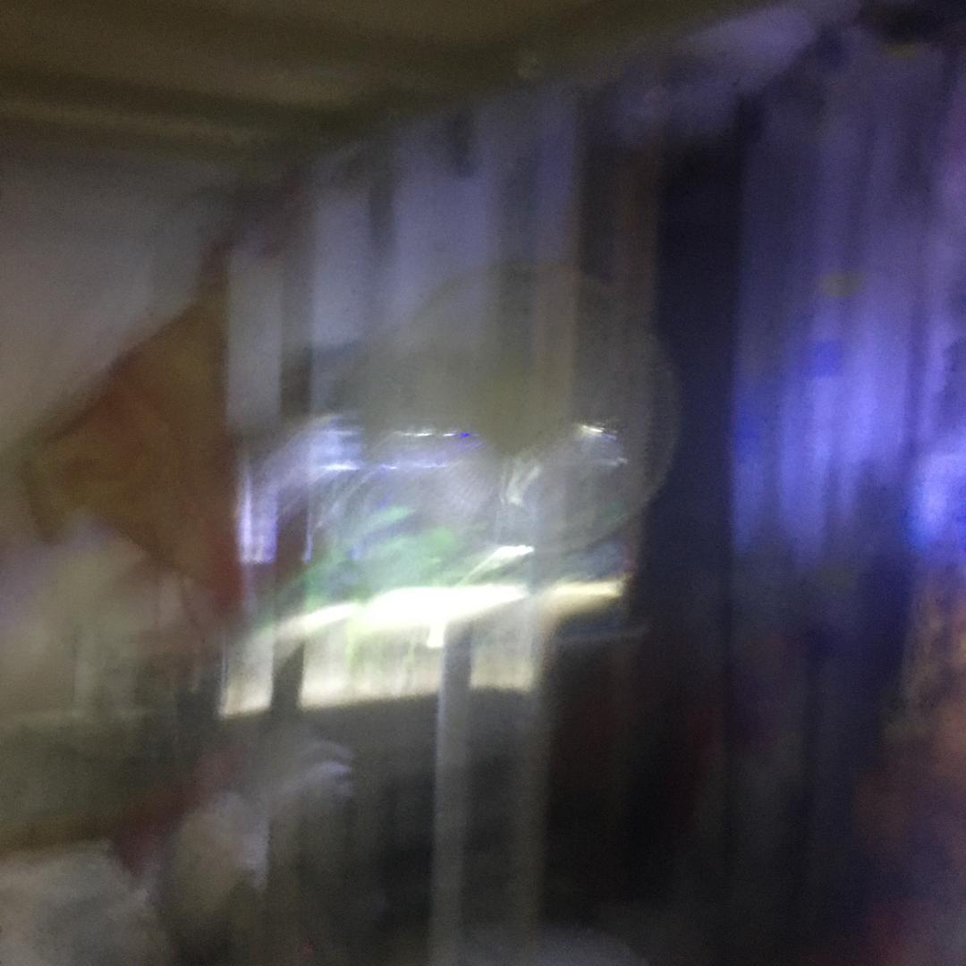 中国人民