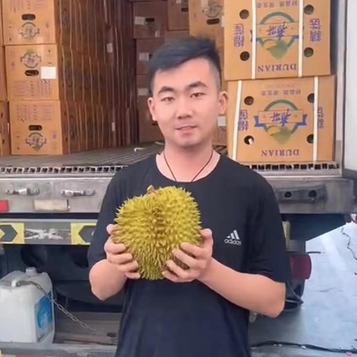 辰向前山东高端鲜果