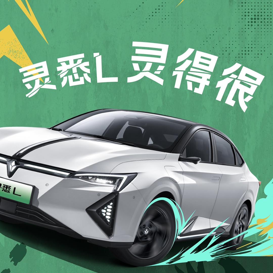 灵悉丽水骏威店