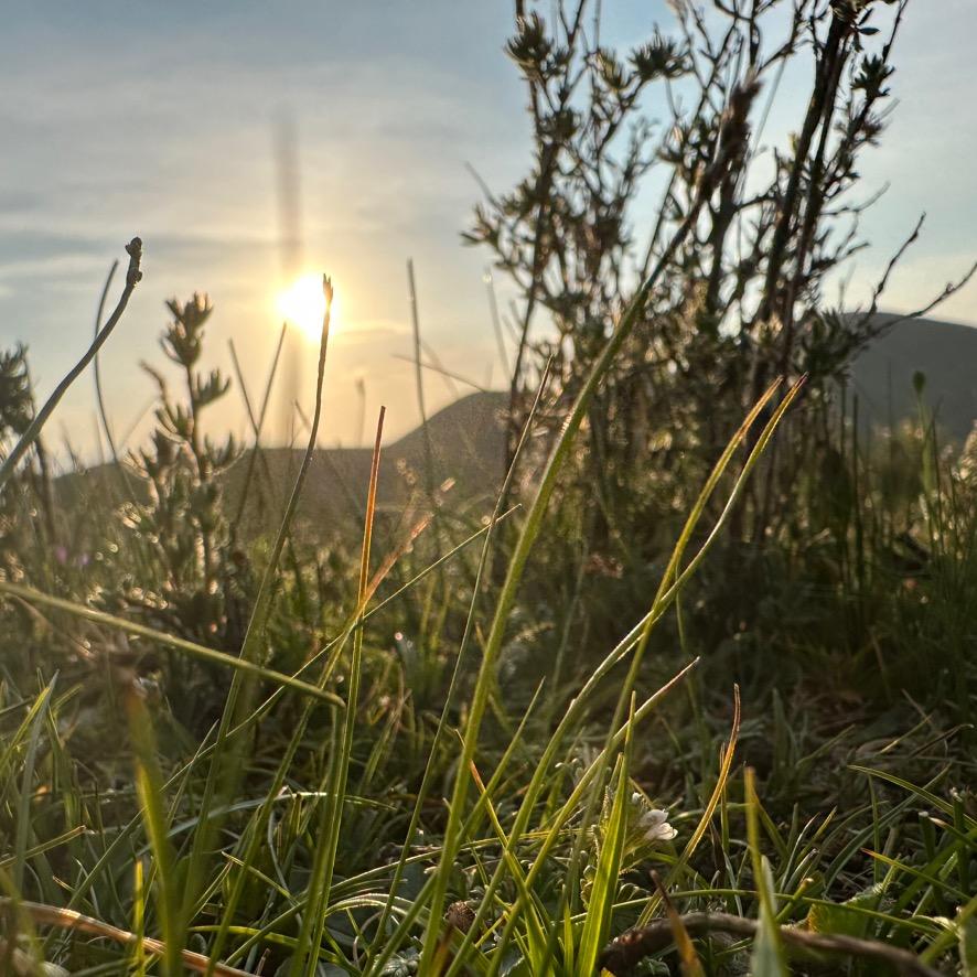 💕渣❤️心💕