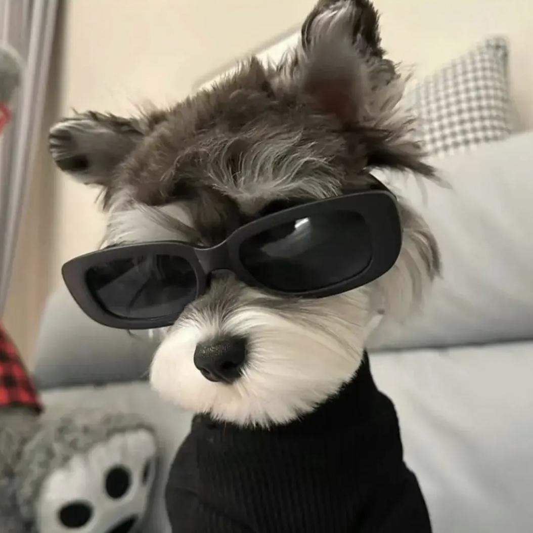 一个显 眼 包！