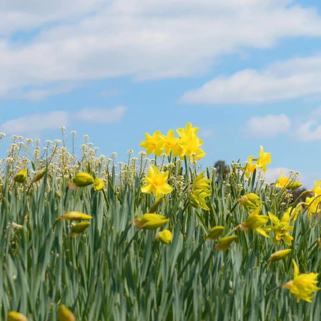 平安当大赚哇8021