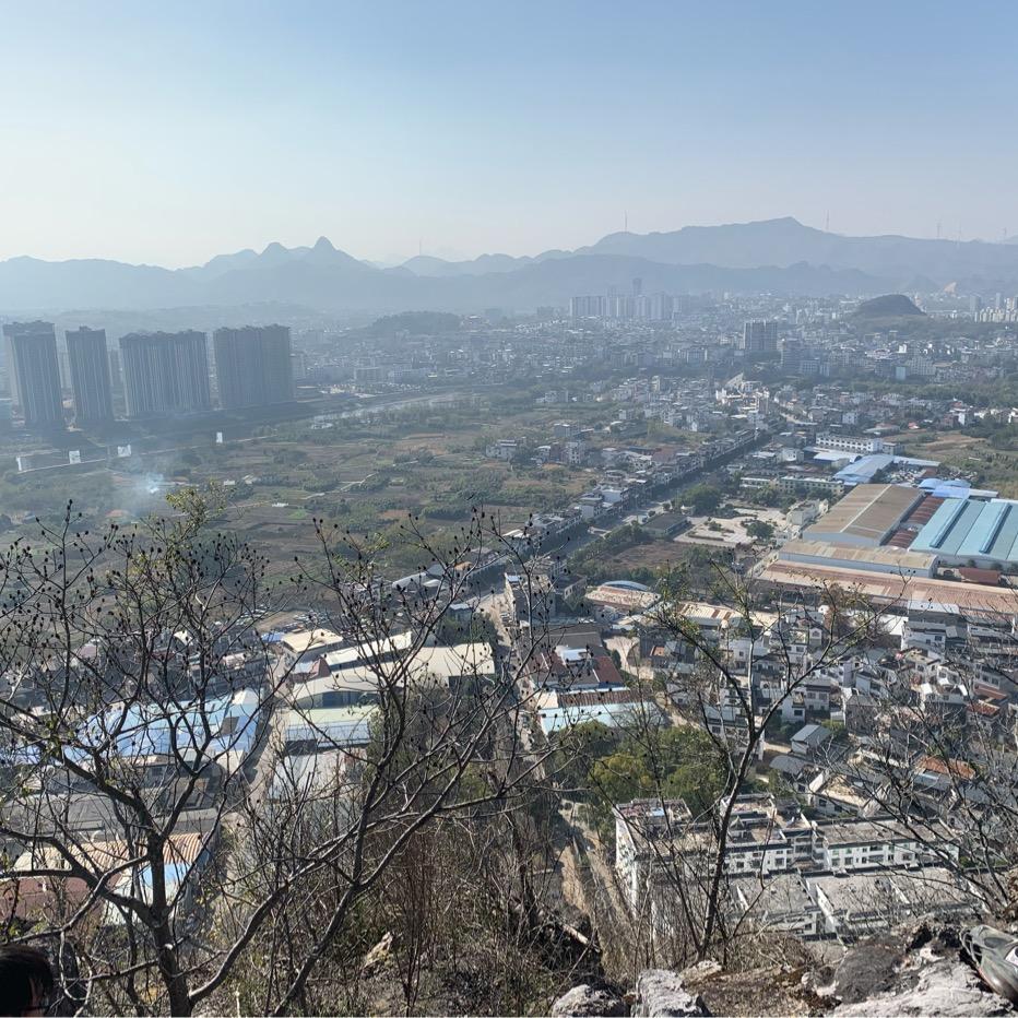 古月表直播号