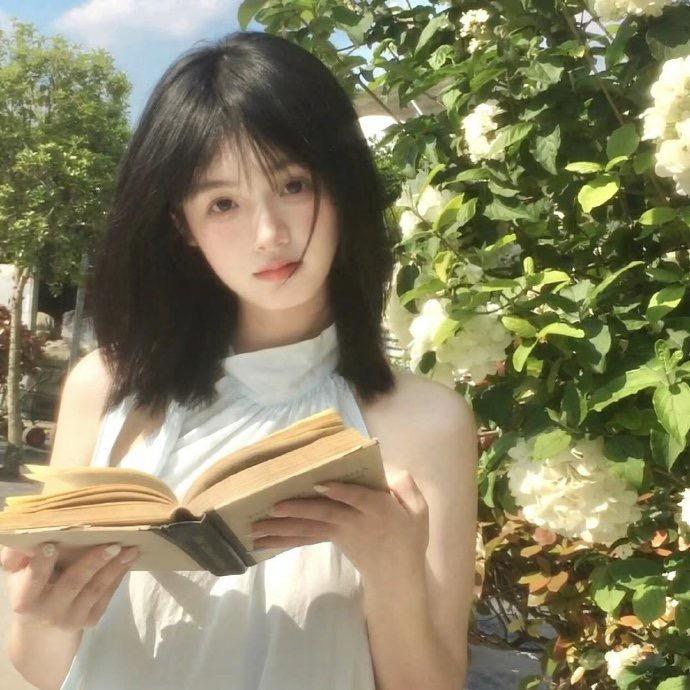 芝士塔332