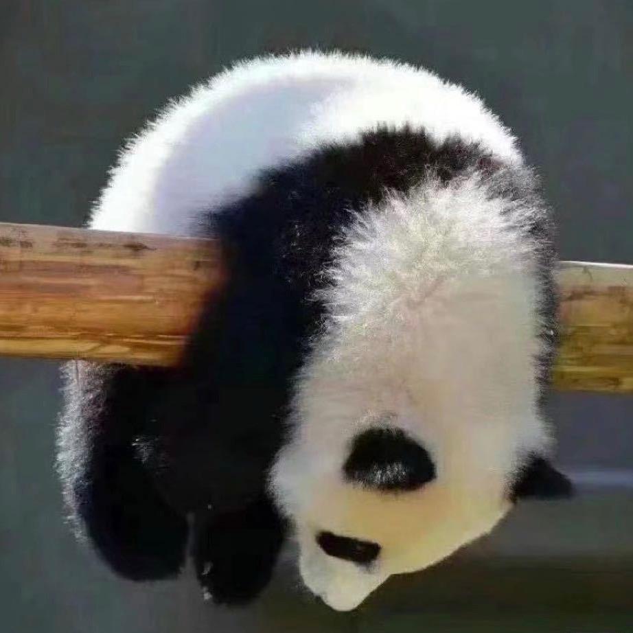 就叫这个名儿