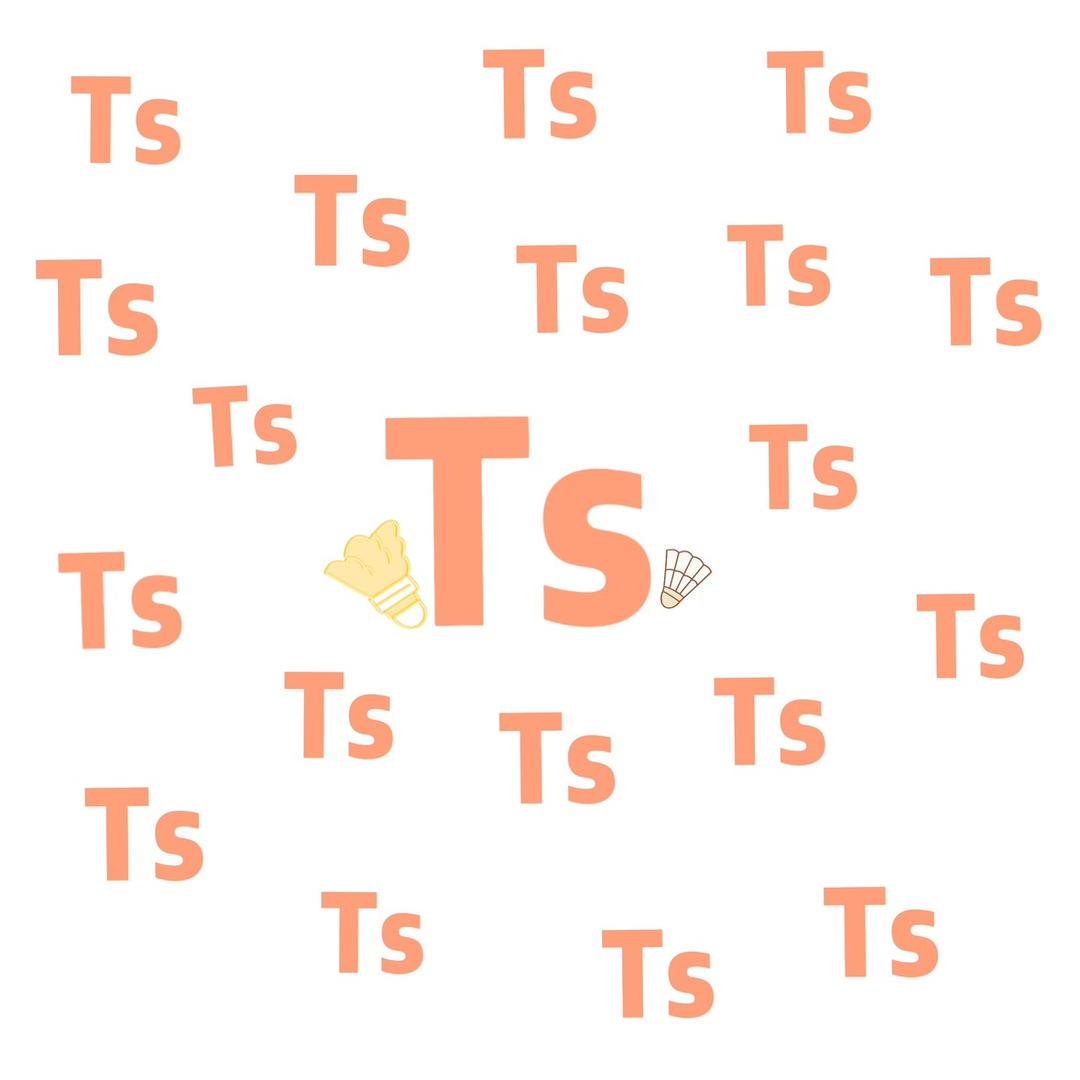 Ts羽毛球自营店
