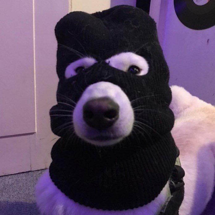 大尧😬