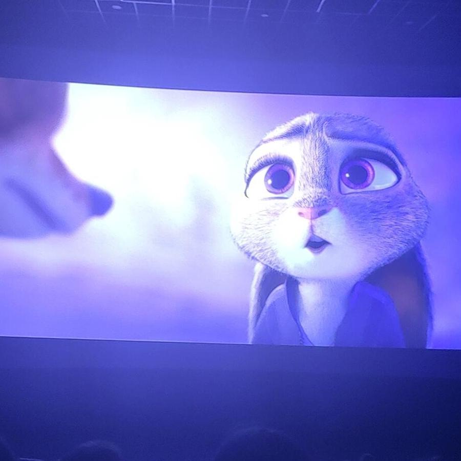 善良的小奶龙🤗